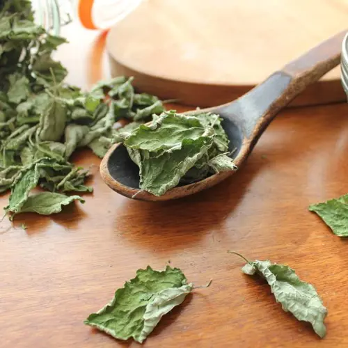 Bo He (Peppermint herb) as TCM ingredient