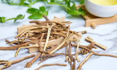 Chai Hu