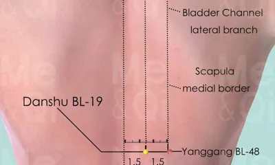 Danshu BL-19 location