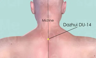 Dazhui DU-14 location