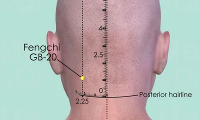 Fengchi GB-20 location