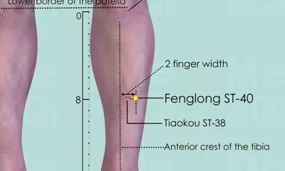 Fenglong ST-40 location