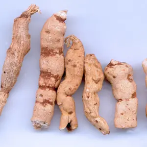 Gan Sui