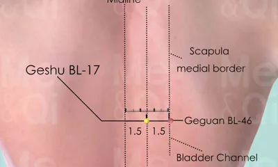 Geshu BL-17 location