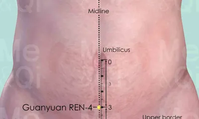 Guanyuan REN-4 location