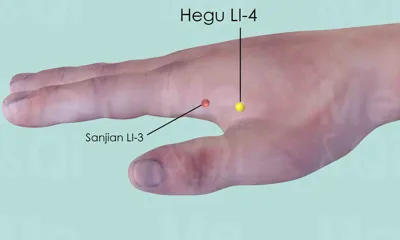 Hegu LI-4 location