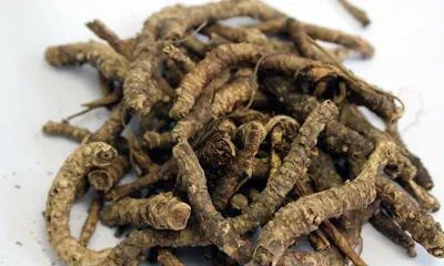 Huang Lian