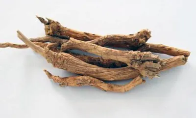 Huang Qin