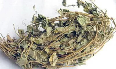 Jin Qian Cao