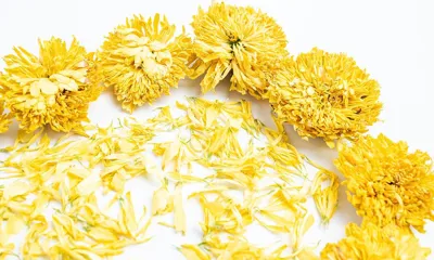 Ju Hua