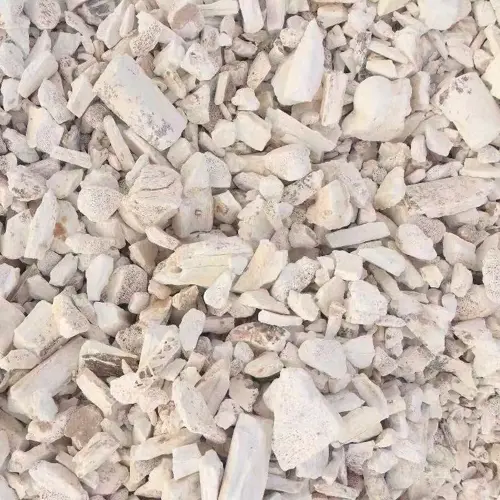 Long Gu (Dragon Bone (fossilised mammal bone)) as TCM ingredient