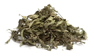 Ma Bian Cao