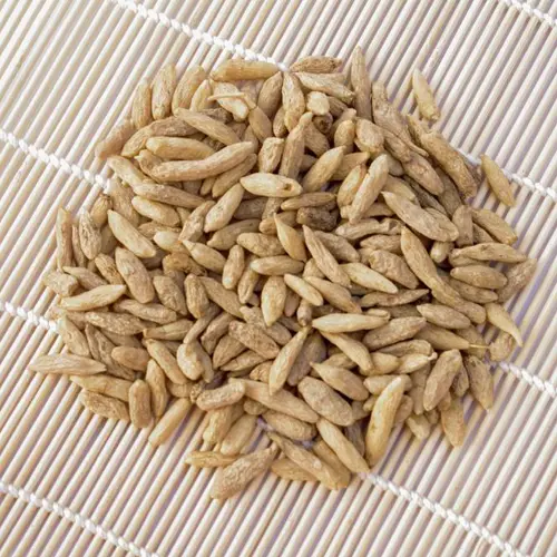 Mai Dong (Ophiopogon root) as TCM ingredient