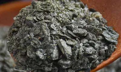 Meng Shi