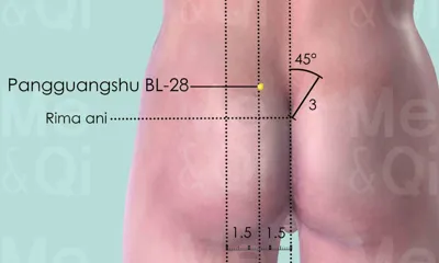Pangguangshu BL-28 location