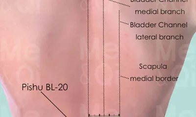 Pishu BL-20 location
