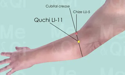Quchi LI-11 location
