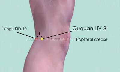 Ququan LR-8 location