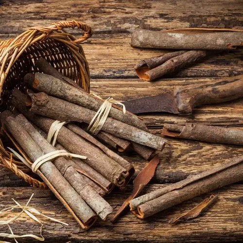 Rou Gui (Cinnamon bark) plant