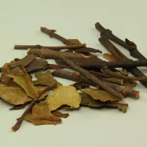 Sang Ji Sheng