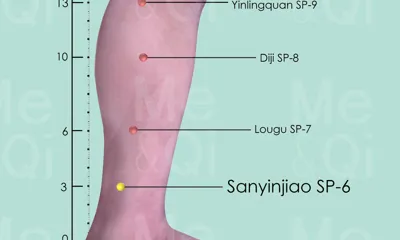 Sanyinjiao SP-6 location