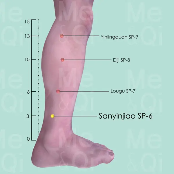 Sanyinjiao SP-6 location