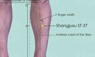 Shangjuxu ST-37 location