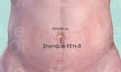 Shenque REN-8 location