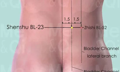 Shenshu BL-23 location