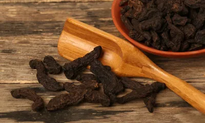 Shu Di Huang