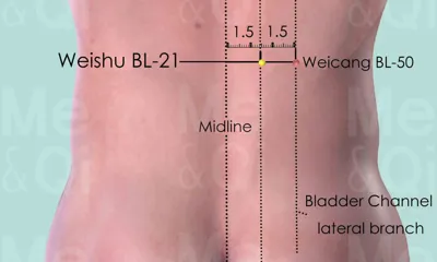 Weishu BL-21 location