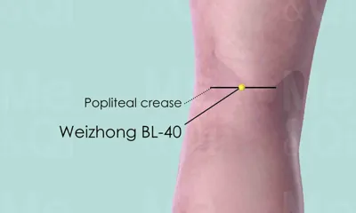 Weizhong BL-40 location