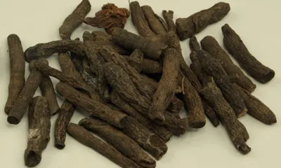 Xian Mao