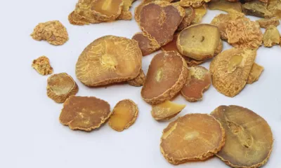 Yan Hu Suo