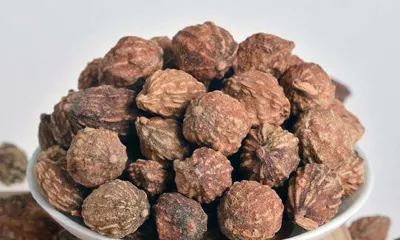 Yi Zhi Ren