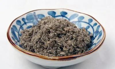 Yin Chen