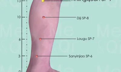 Yinlingquan SP-9 location