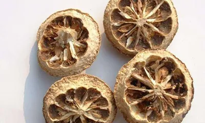 Zhi Ke