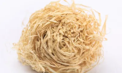Zhu Ru