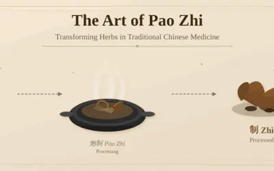 Pao Zhi: Understanding Processed vs. Raw Herbs in Traditional Chinese Medicine