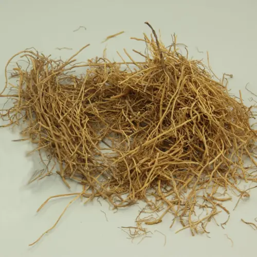 Xi Xin (Wild Ginger) as TCM ingredient